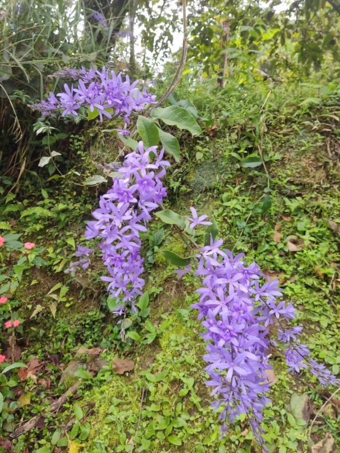 Finca Jardin Del Agua Villa Sasaima Eksteriør bilde