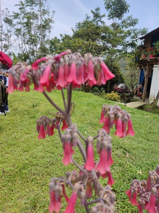 Finca Jardin Del Agua Villa Sasaima Eksteriør bilde