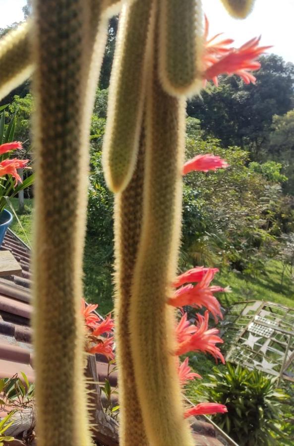 Finca Jardin Del Agua Villa Sasaima Eksteriør bilde