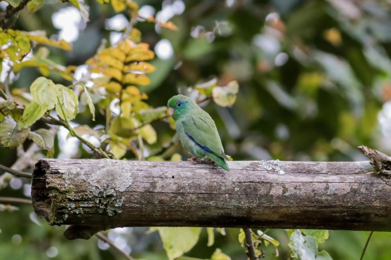 Finca Jardin Del Agua Sasaima Eksteriør bilde
