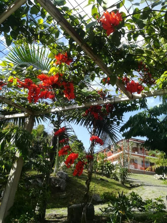 Finca Jardin Del Agua Sasaima Eksteriør bilde