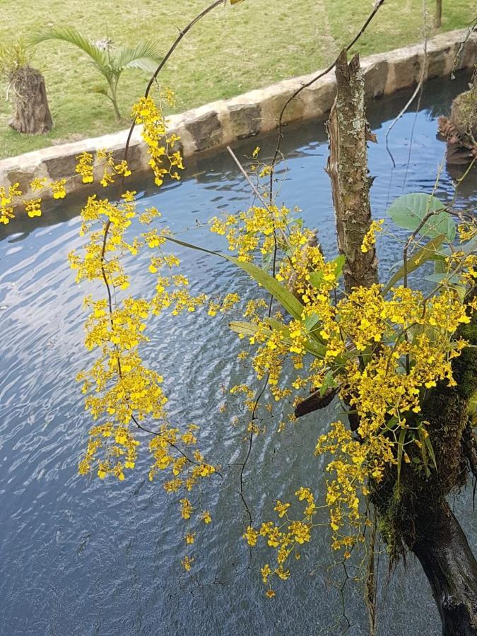 Finca Jardin Del Agua Villa Sasaima Eksteriør bilde