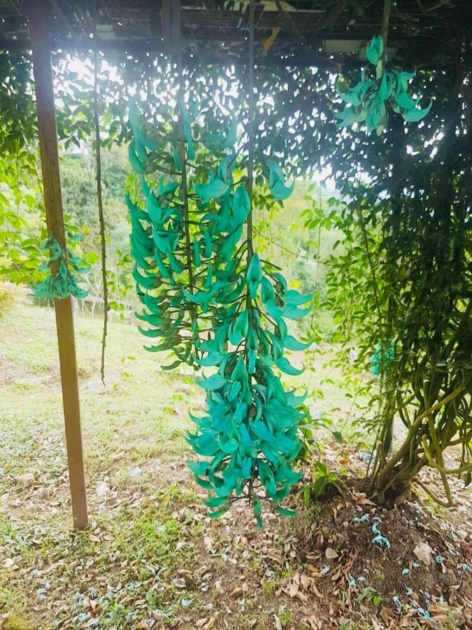 Finca Jardin Del Agua Sasaima Eksteriør bilde