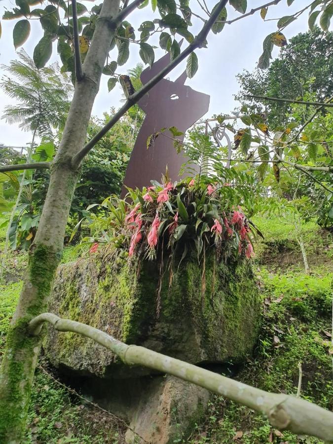 Finca Jardin Del Agua Villa Sasaima Eksteriør bilde