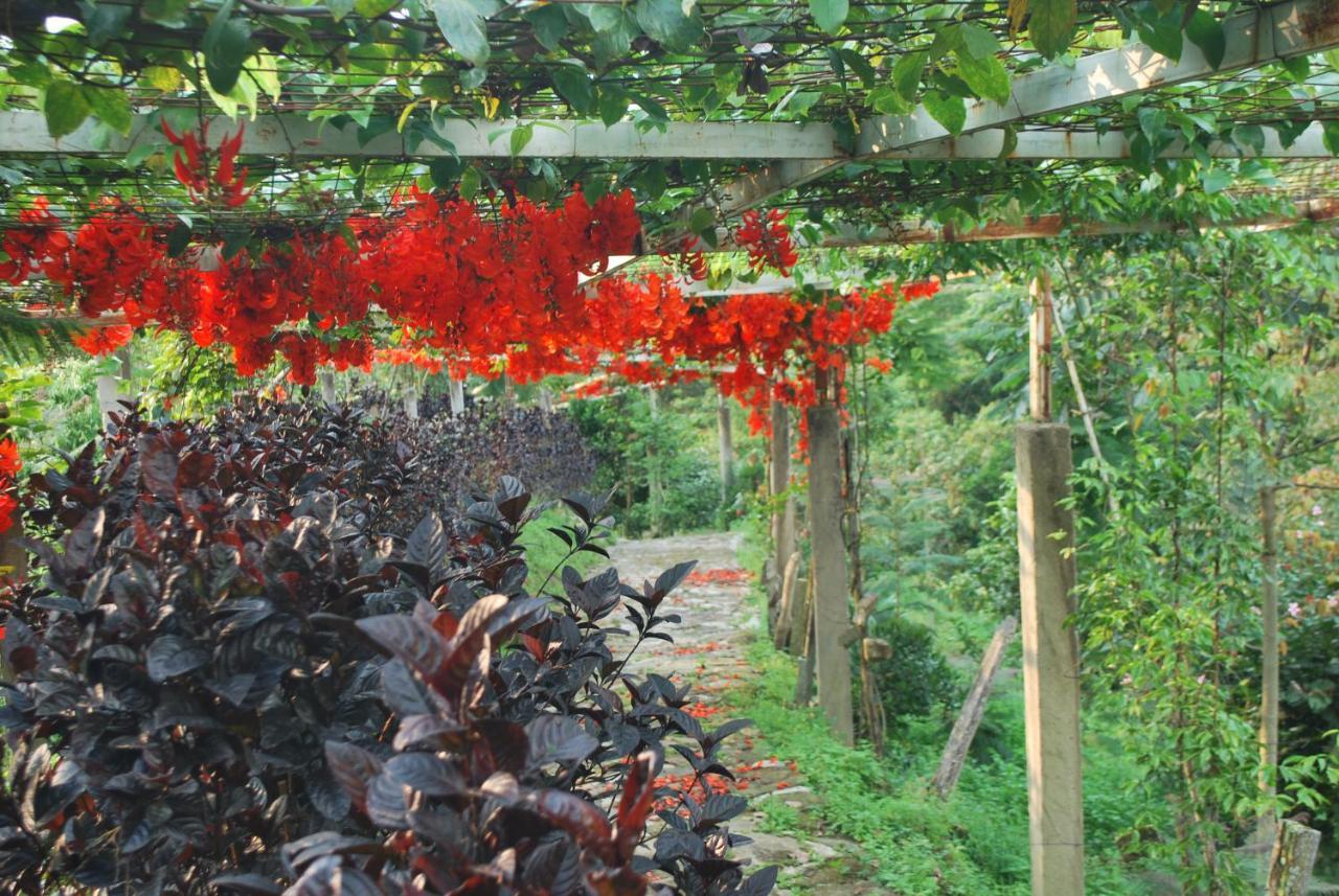 Finca Jardin Del Agua Sasaima Eksteriør bilde