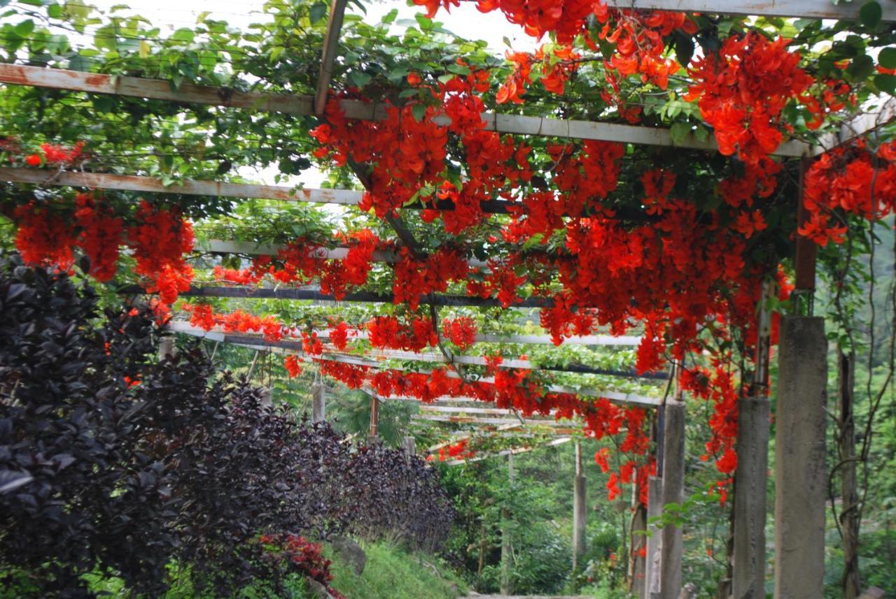 Finca Jardin Del Agua Sasaima Eksteriør bilde