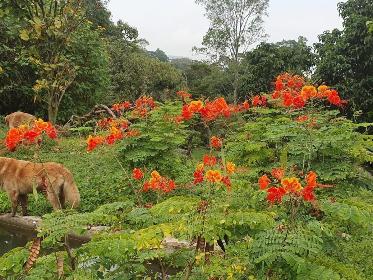 Finca Jardin Del Agua Sasaima Eksteriør bilde